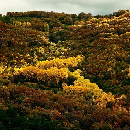 Aroma De Primavera En Casas Rurales Acebuche Casas del Monte Εξωτερικό φωτογραφία