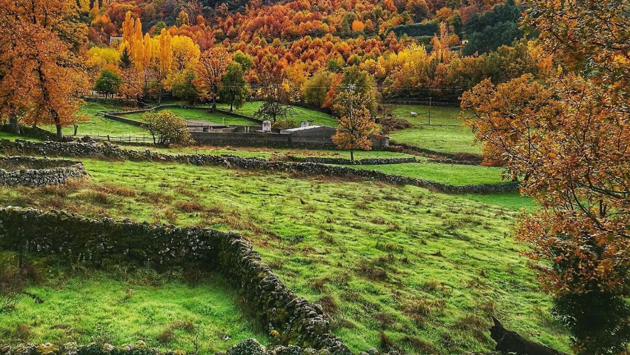 Aroma De Primavera En Casas Rurales Acebuche Casas del Monte Εξωτερικό φωτογραφία
