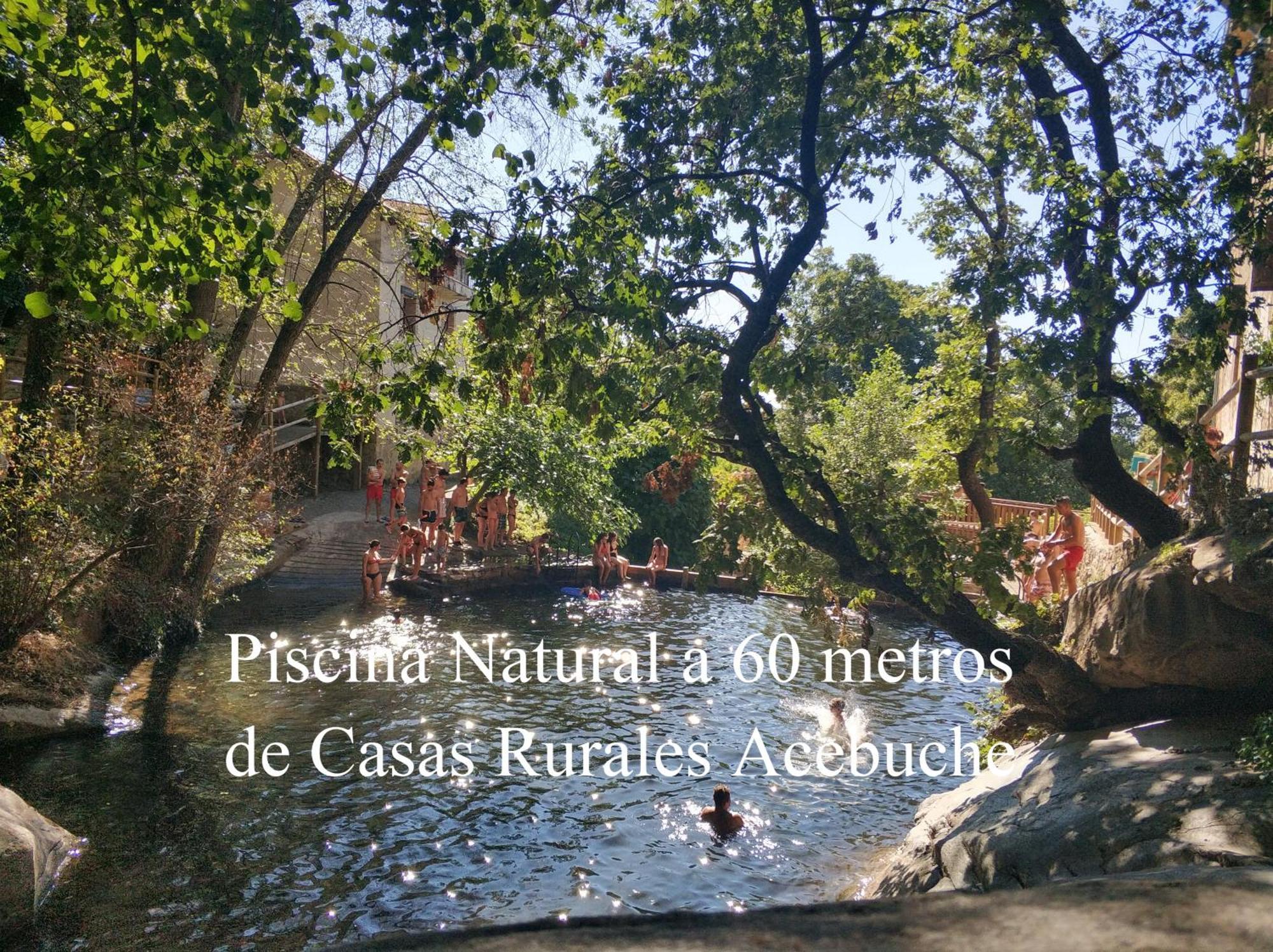 Aroma De Primavera En Casas Rurales Acebuche Casas del Monte Εξωτερικό φωτογραφία