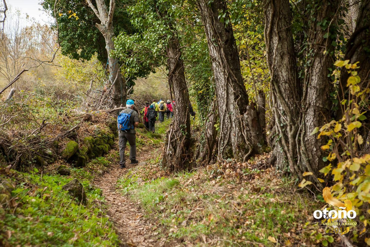 Aroma De Primavera En Casas Rurales Acebuche Casas del Monte Εξωτερικό φωτογραφία