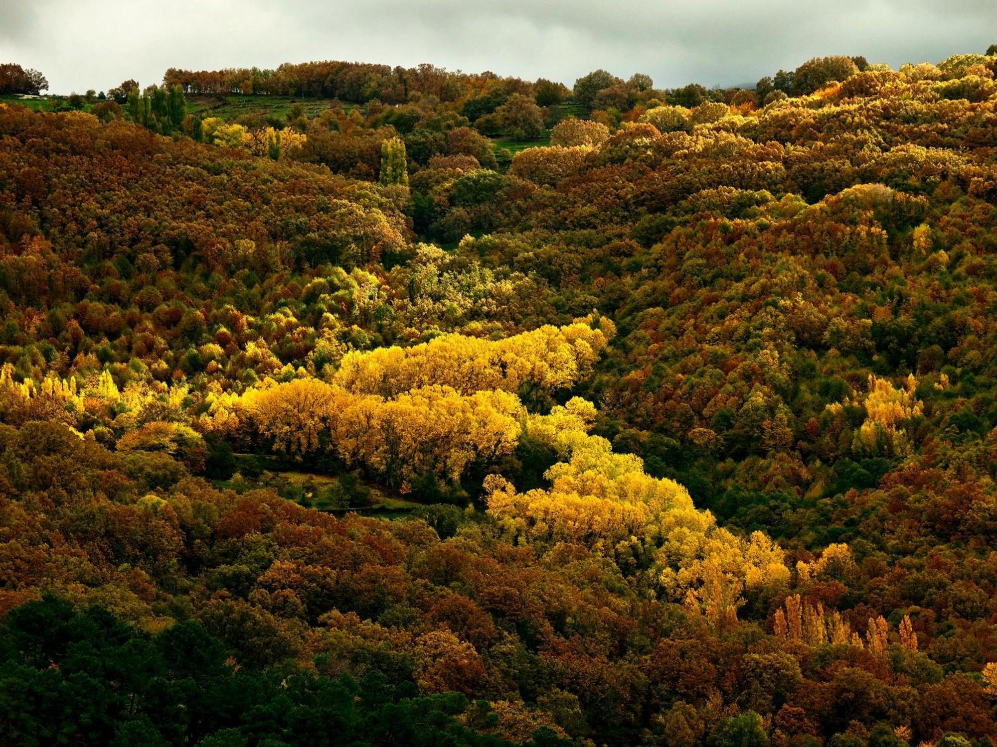 Aroma De Primavera En Casas Rurales Acebuche Casas del Monte Εξωτερικό φωτογραφία