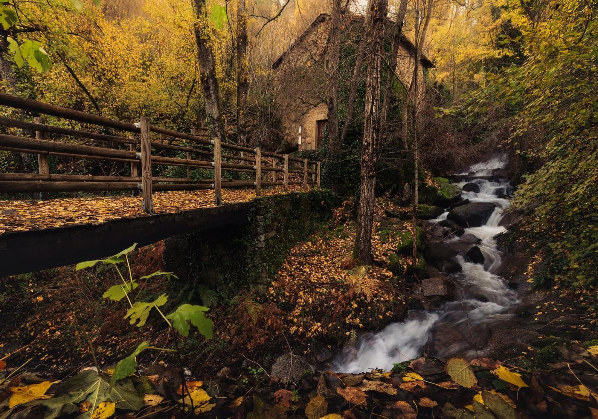 Aroma De Primavera En Casas Rurales Acebuche Casas del Monte Εξωτερικό φωτογραφία