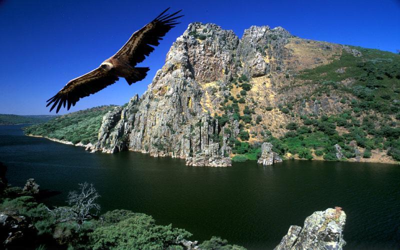 Aroma De Primavera En Casas Rurales Acebuche Casas del Monte Εξωτερικό φωτογραφία