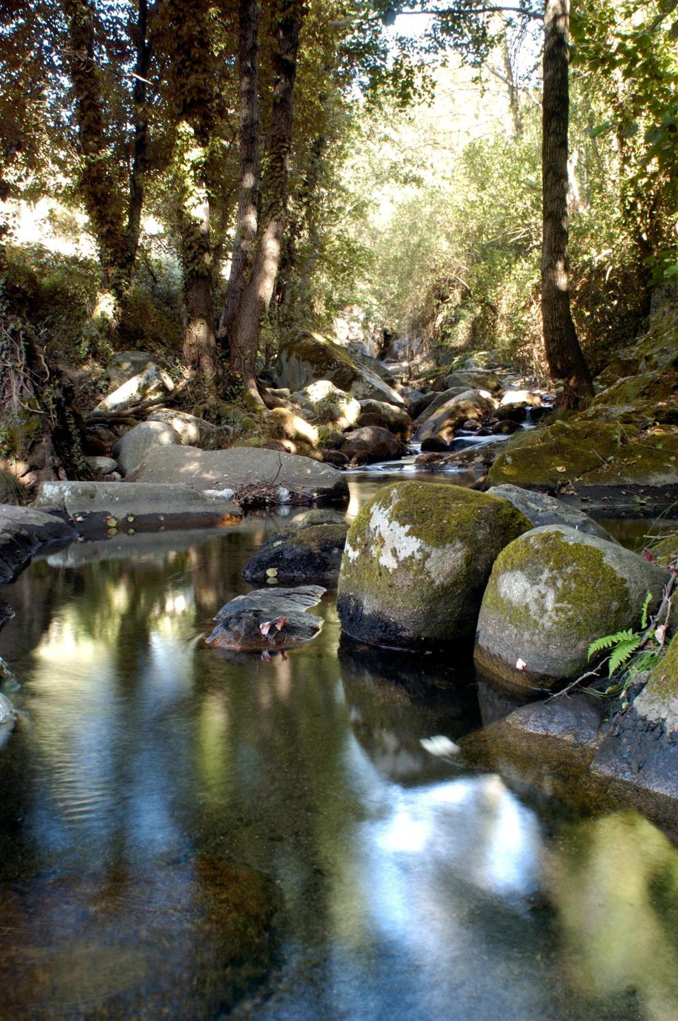 Aroma De Primavera En Casas Rurales Acebuche Casas del Monte Εξωτερικό φωτογραφία